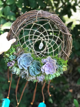Load image into Gallery viewer, 12&quot; Succulent Dreamcatcher
