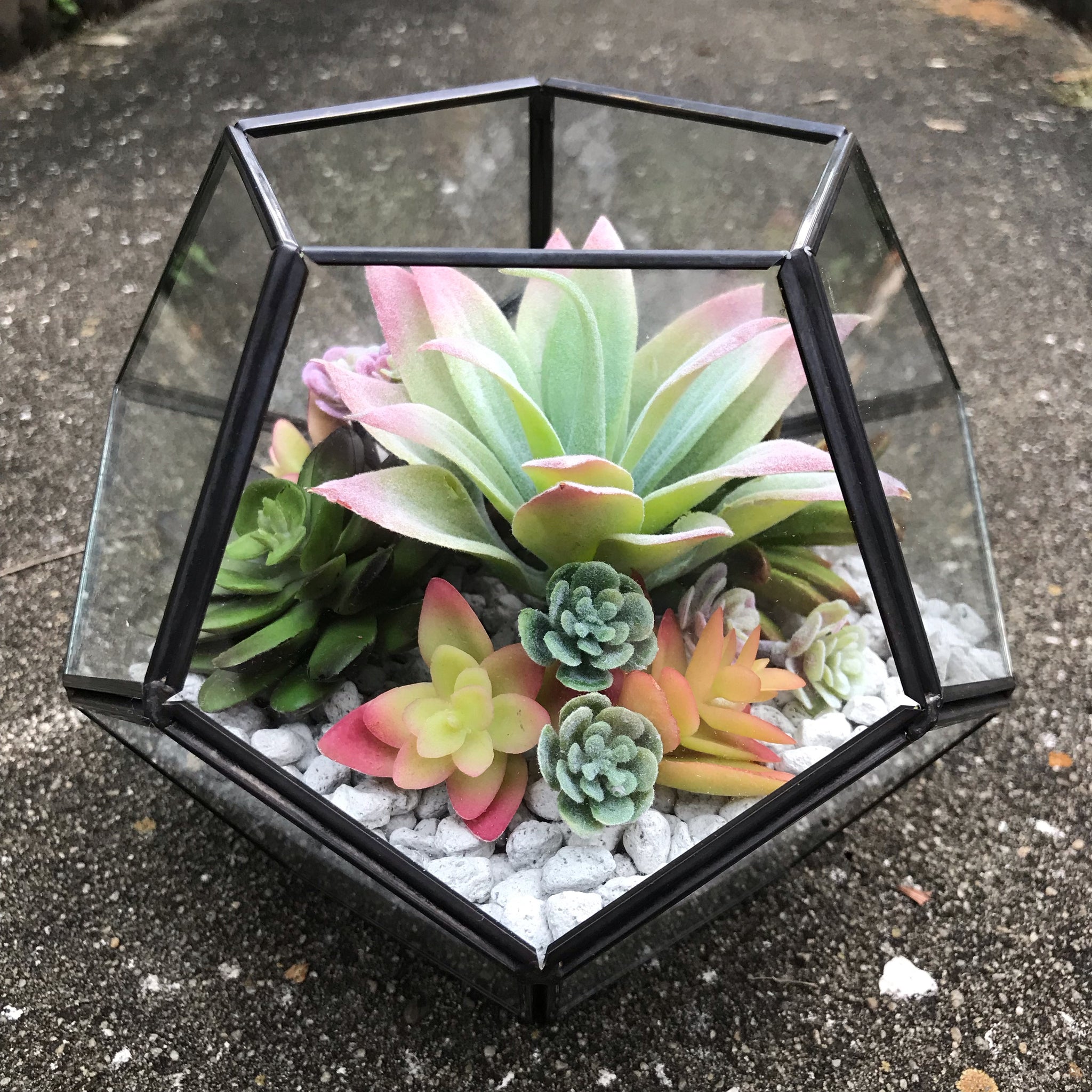 faux succulent terrarium DIY FAUX Succulent Terrarium Kit 7"x6" (BLACK) – Terracotta Corner