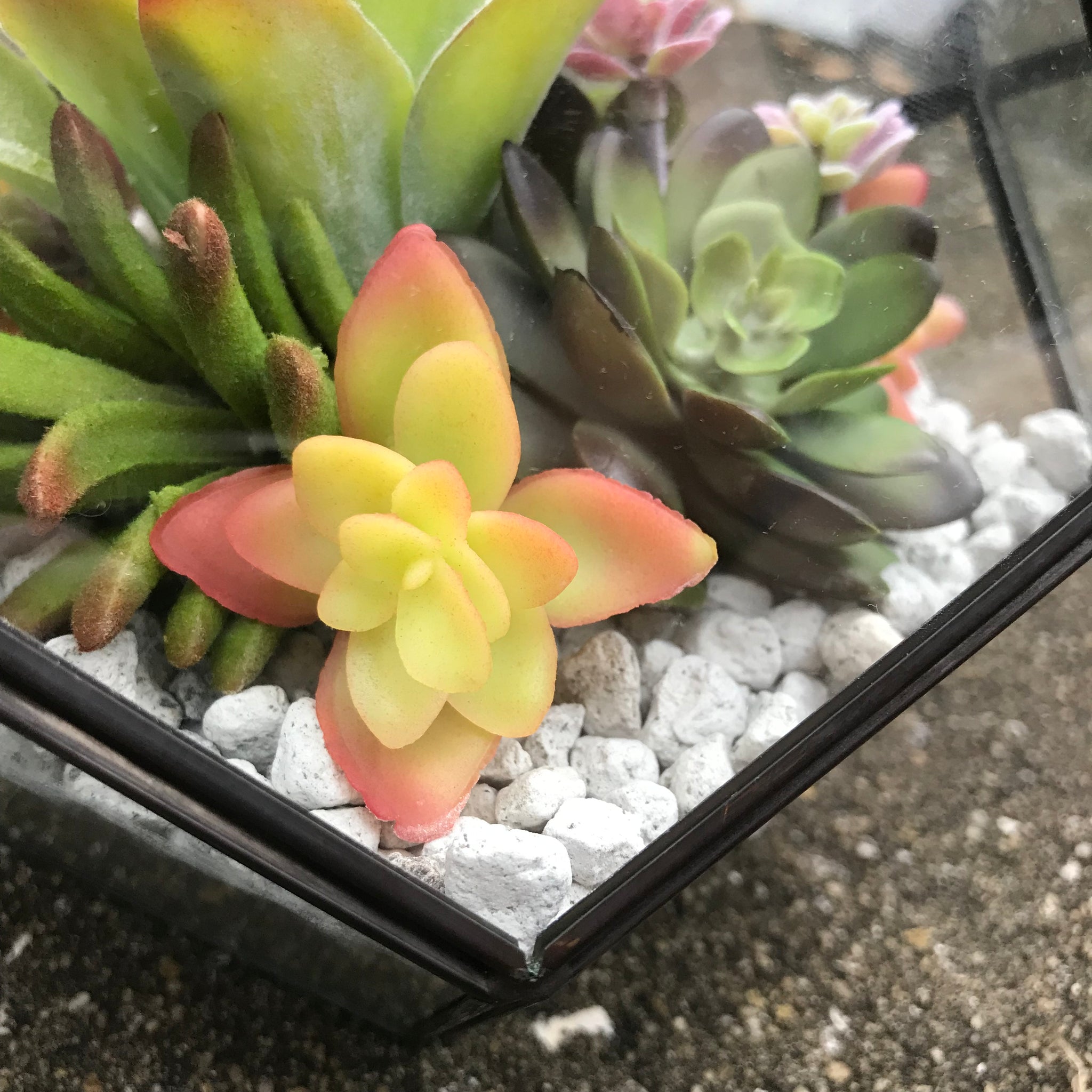 faux succulent terrarium DIY FAUX Succulent Terrarium Kit 7"x6" (BLACK) – Terracotta Corner