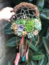 Load image into Gallery viewer, 8&quot; Succulent Dreamcatcher
