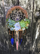 Load image into Gallery viewer, 10&quot; Succulent Dreamcatcher
