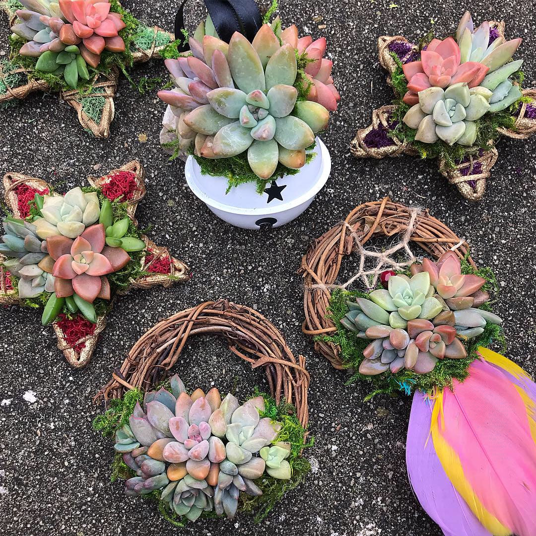 succulent hashtags 3" Succulent Dreamcatcher Ornament