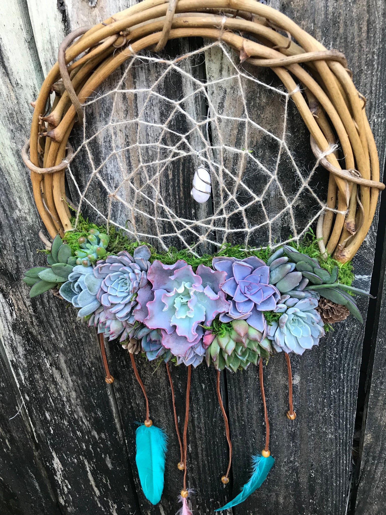 succulent dream catchers 12" Succulent Dreamcatcher – Terracotta Corner