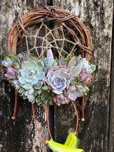 Load image into Gallery viewer, 8&quot; Succulent Dreamcatcher
