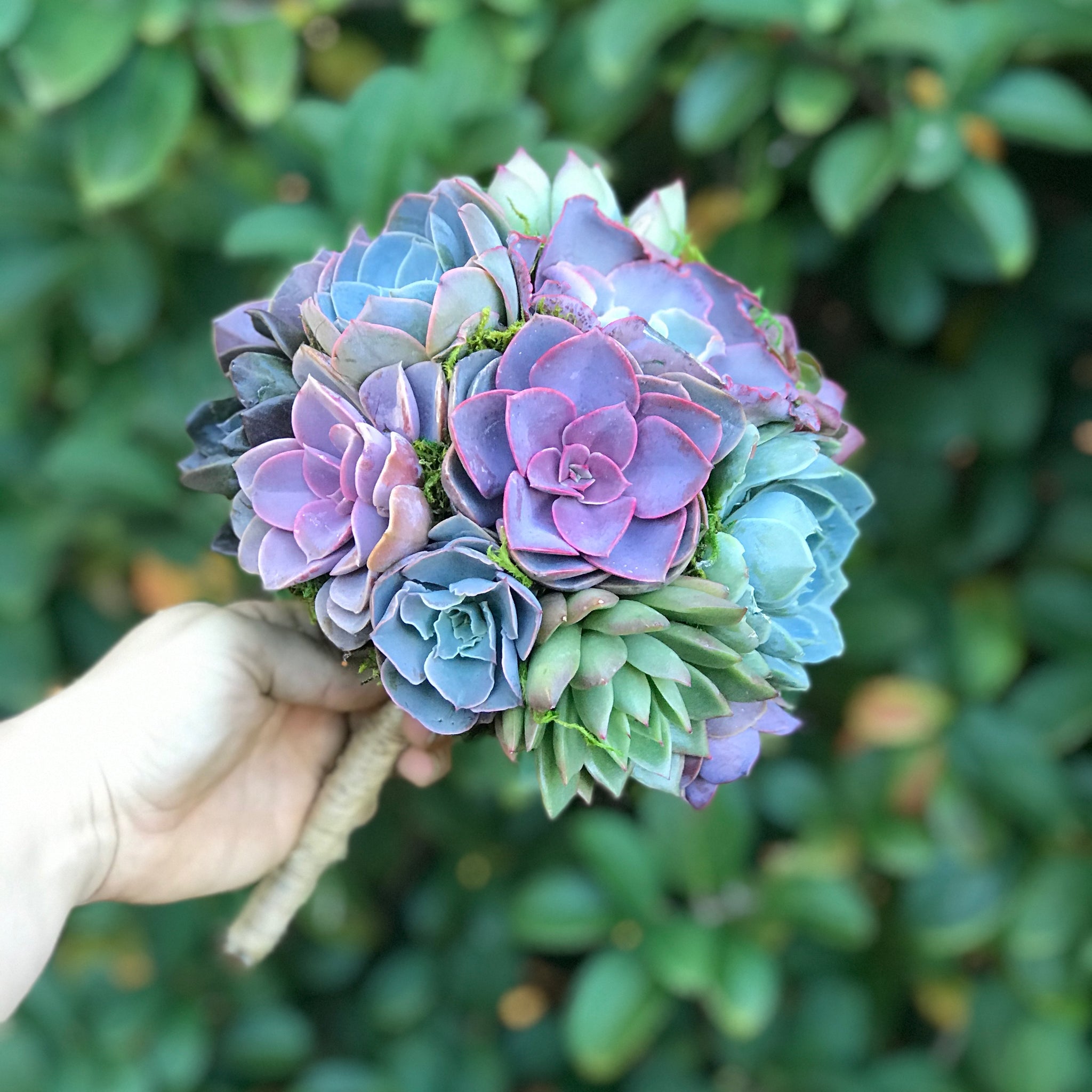 blue succulent bouquet Succulent Bouquets – Terracotta Corner