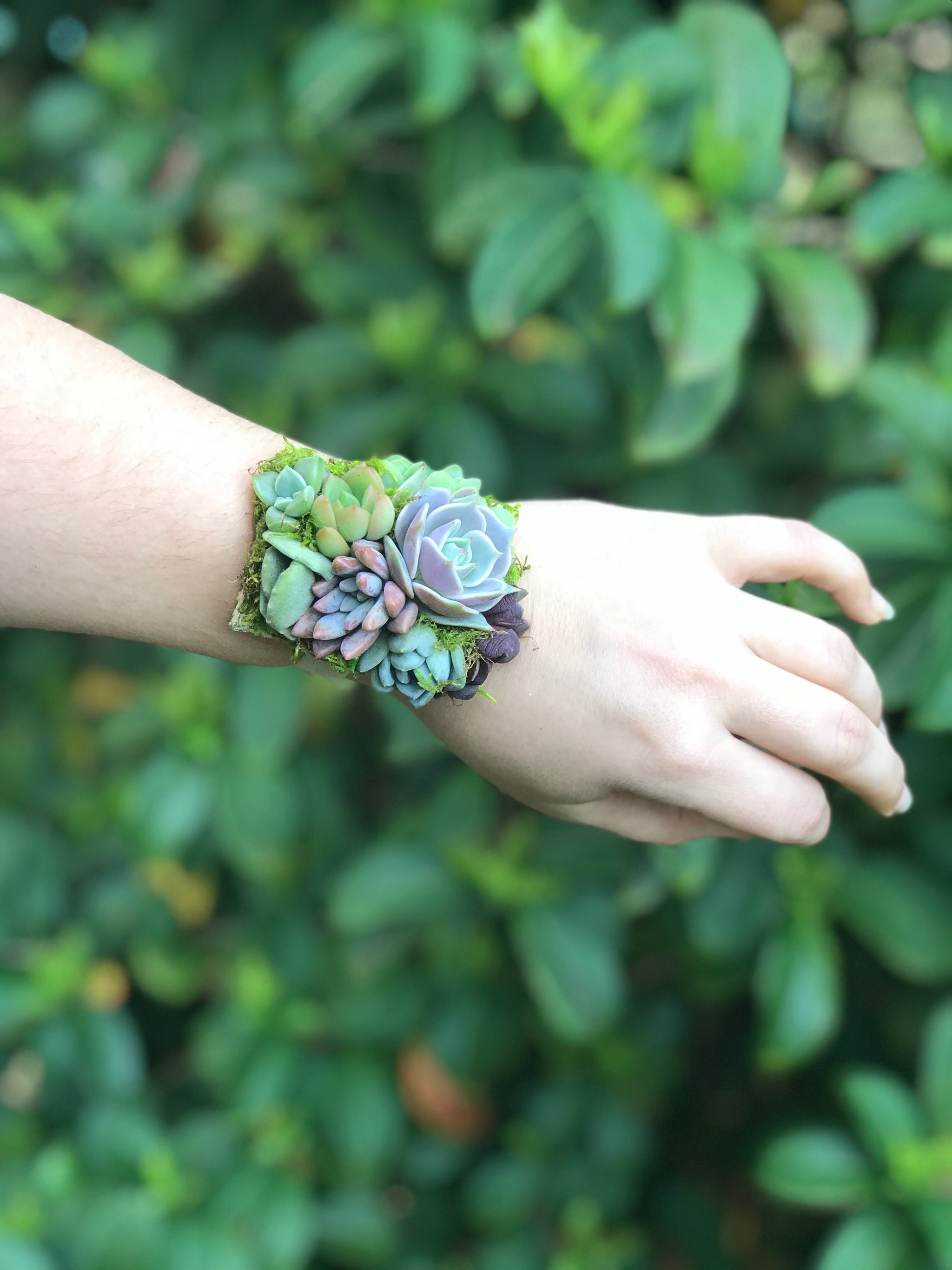 succulent wristlet Succulent Wrist Corsage – Terracotta Corner