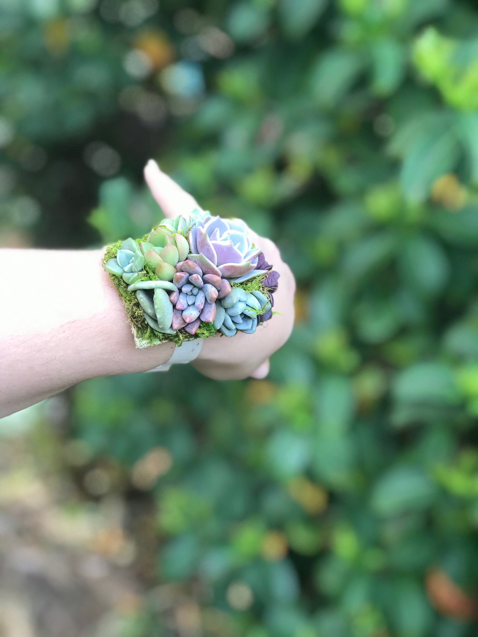 diy succulent wrist corsage Succulent Wrist Corsage – Terracotta Corner