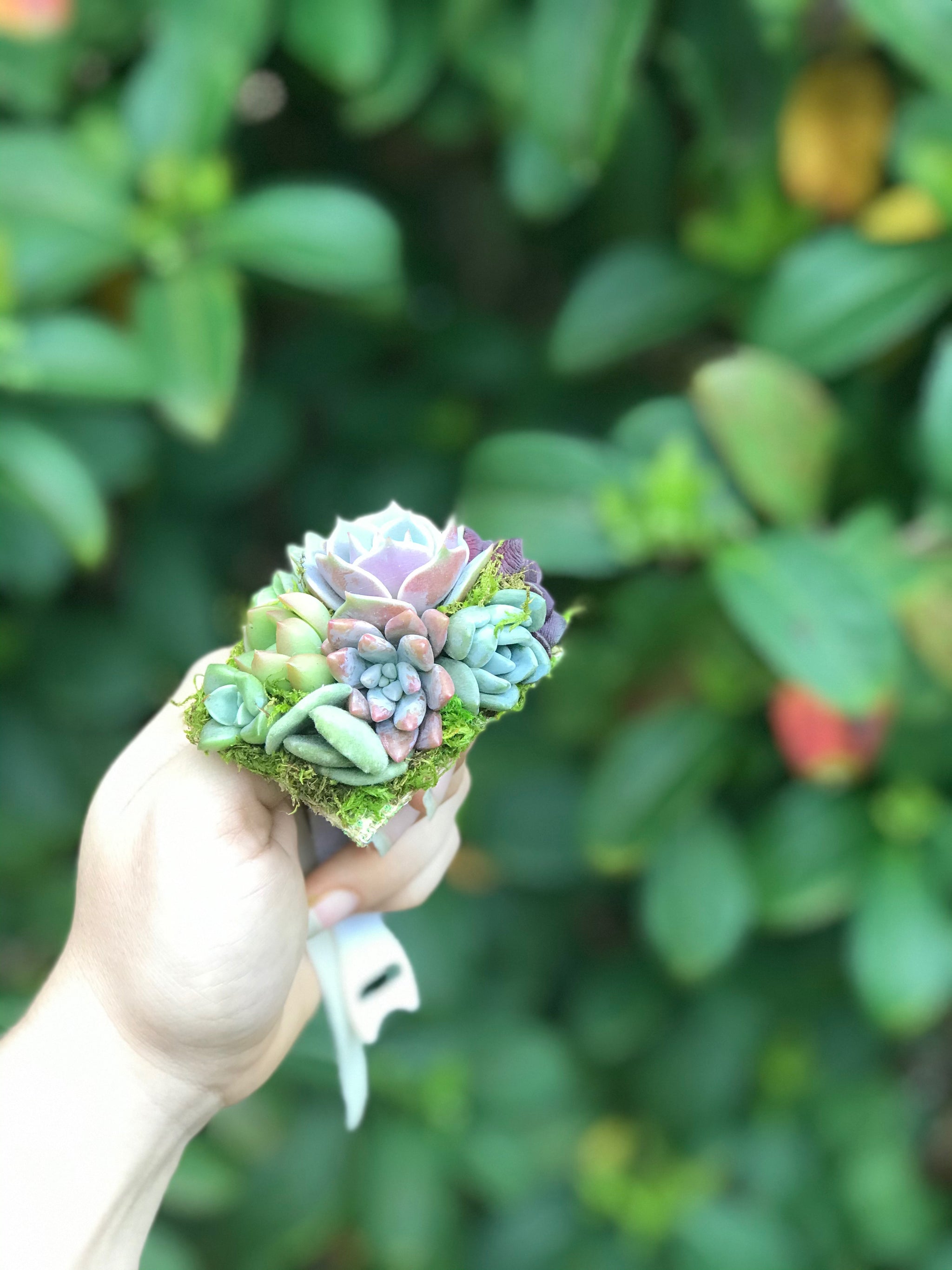 succulent corsages near me Succulent Wrist Corsage – Terracotta Corner