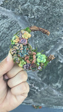 Load and play video in Gallery viewer, 2.5” Succulent Crescent Moon
