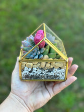 Load image into Gallery viewer, DIY Glass House Succulent Terrarium Kits (3 sizes)
