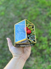 Load image into Gallery viewer, DIY Glass House Succulent Terrarium Kits (3 sizes)

