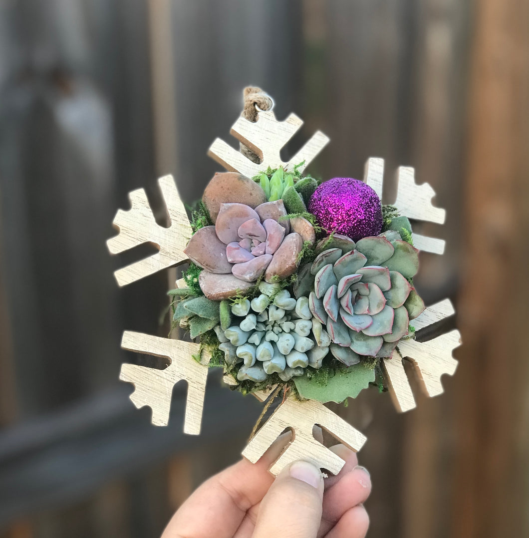 5.5” Succulent Snowflake Ornament