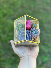 Load image into Gallery viewer, DIY Glass House Succulent Terrarium Kits (3 sizes)
